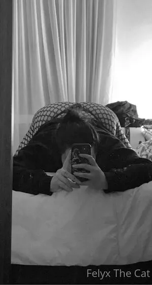 felyxfree / felyxfox nude photo #0009