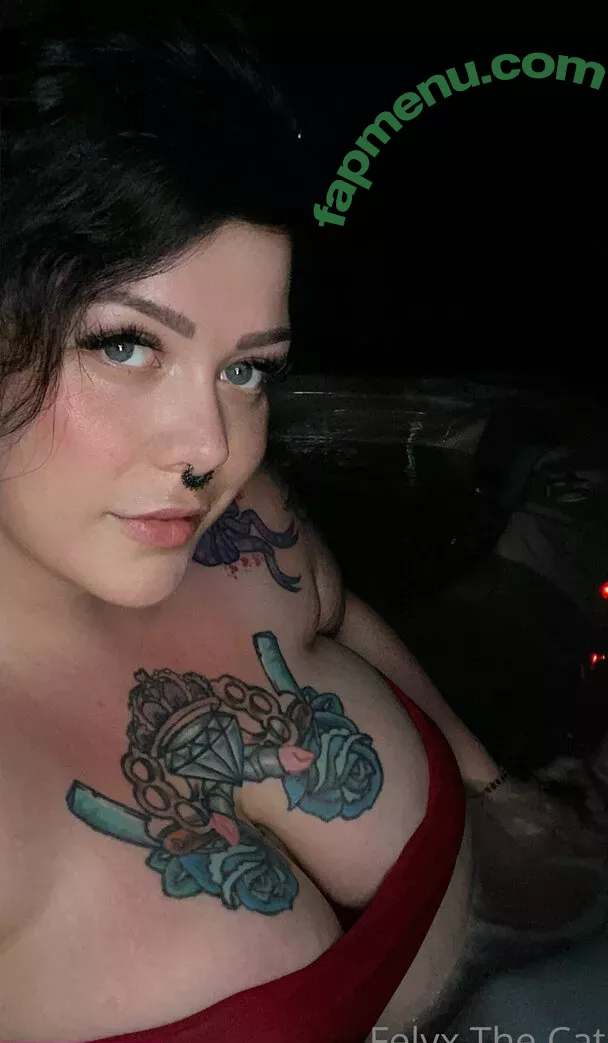 felyxfree nude photo #0012 (felyxfox)