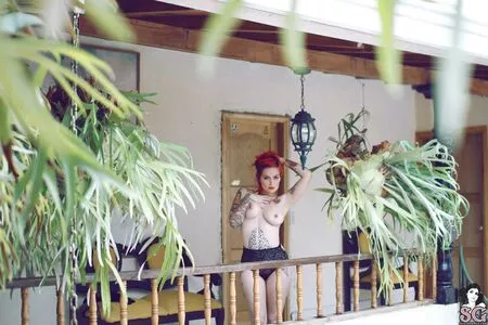 Fernanda Mercury / Fermercury / lafermercurry / yosoymercury nude photo #0096