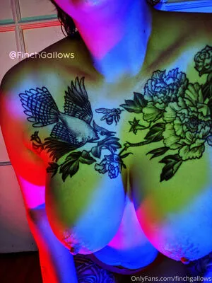 finchgallows / finchcare / finchvip nude photo #0097