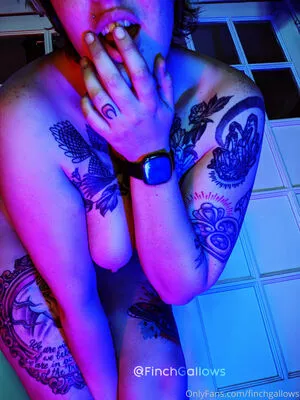 finchgallows / finchcare / finchvip nude photo #0099