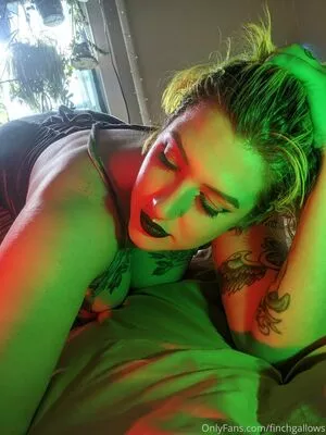 finchgallows / finchcare / finchvip nude photo #0194