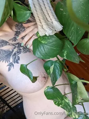 finchgallows / finchcare / finchvip nude photo #0395