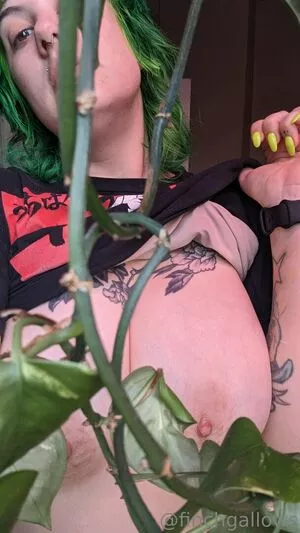 finchgallows / finchcare / finchvip nude photo #0553
