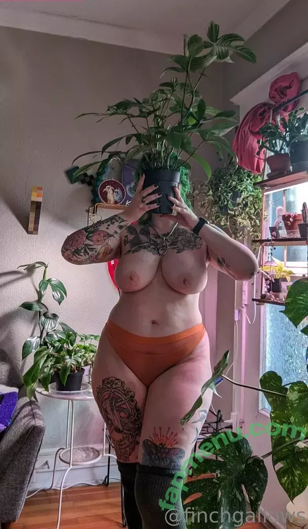 finchgallows nude photo #0051 (finchcare / finchvip)