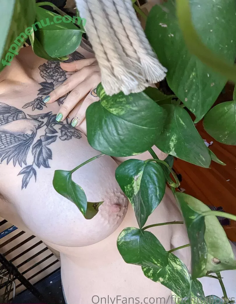 finchgallows nude photo #0395 (finchcare / finchvip)