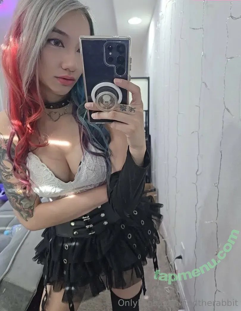FindTheRabbit nude photo #0012 (find_the_rabbit)