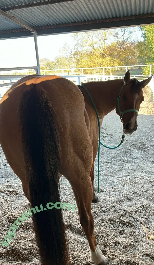 fitbunbabe nude photo #0016 (fitbunbabe)