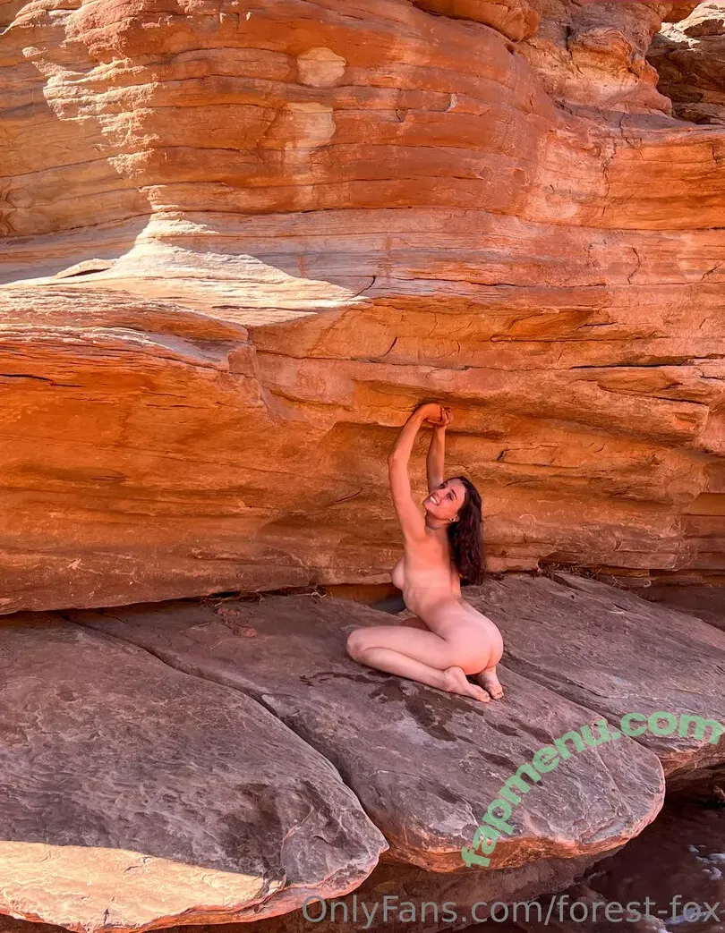 forest-fox nude photo #0232 (forest.f0x)