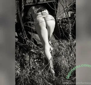 Formica Dinette / formica nude photo #0006