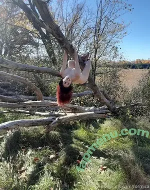 Formica Dinette / formica nude photo #0010