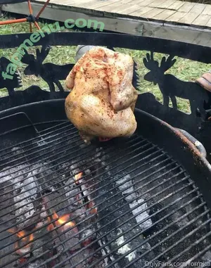 Formica Dinette / formica nude photo #0019