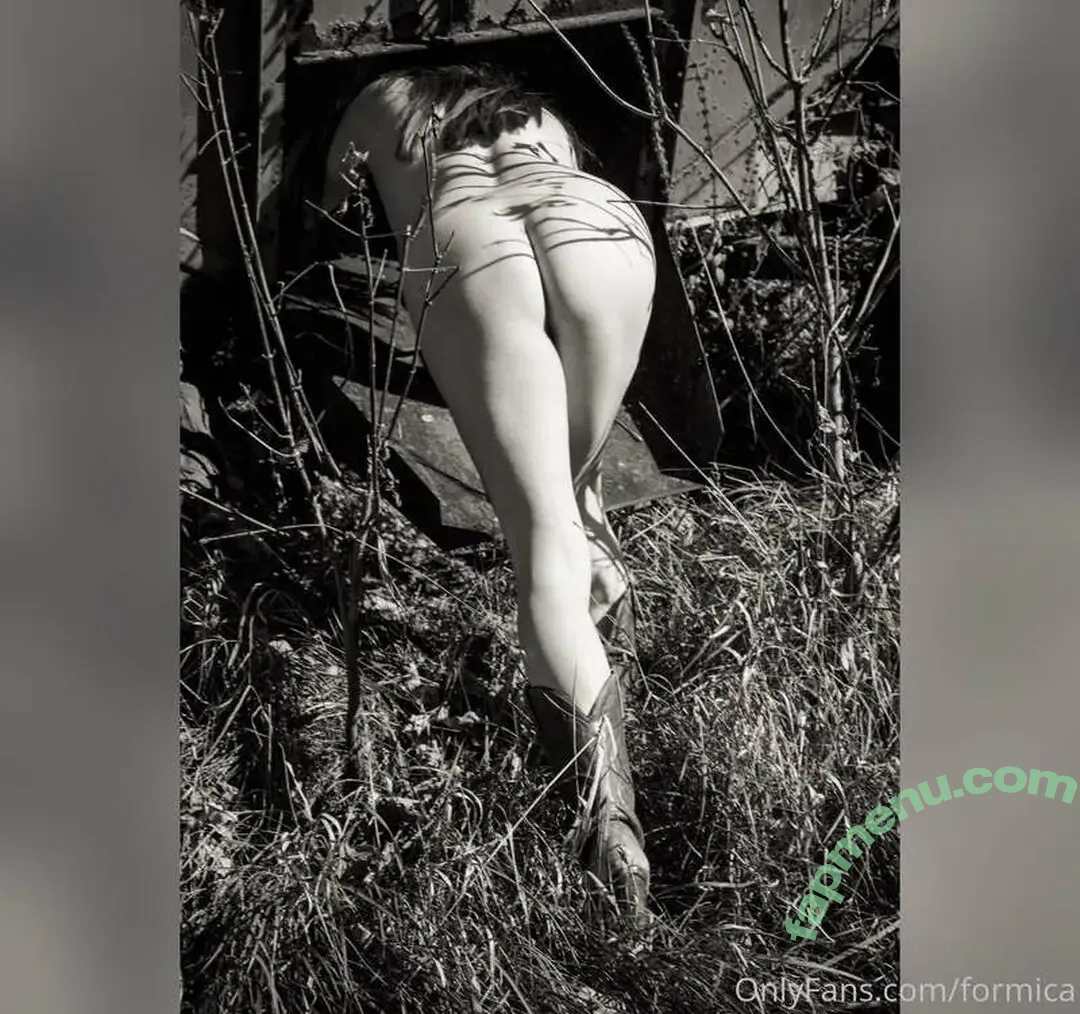 Formica Dinette nude photo #0006 (formica)