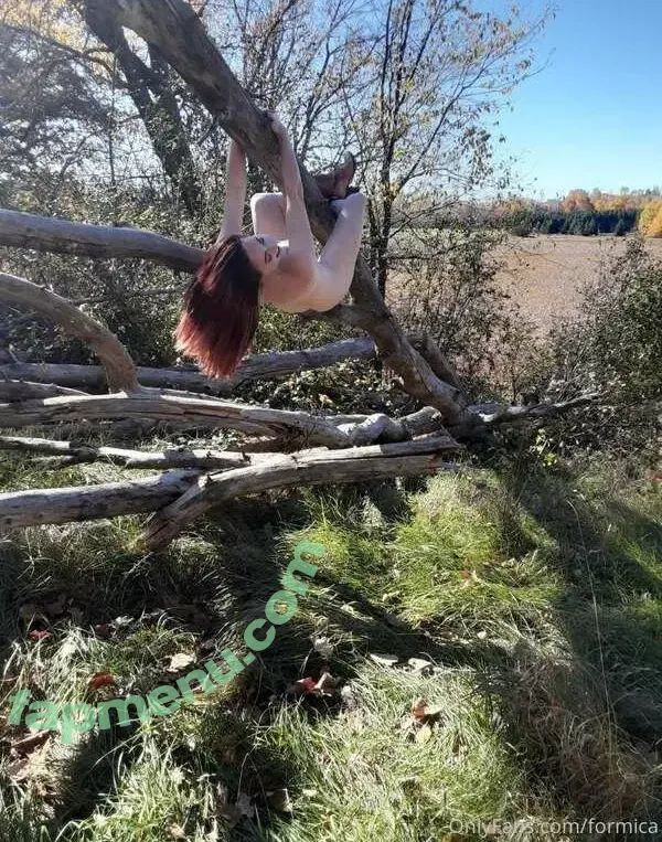 Formica Dinette nude photo #0009 (formica)