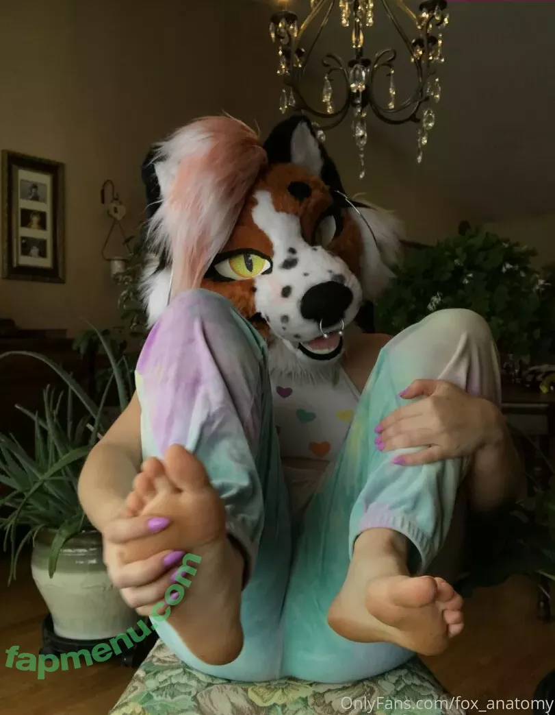fox_anatomy nude photo #0064 (fox_anatomy)
