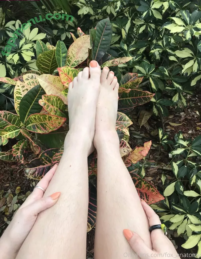 fox_anatomy nude photo #0135 (fox_anatomy)