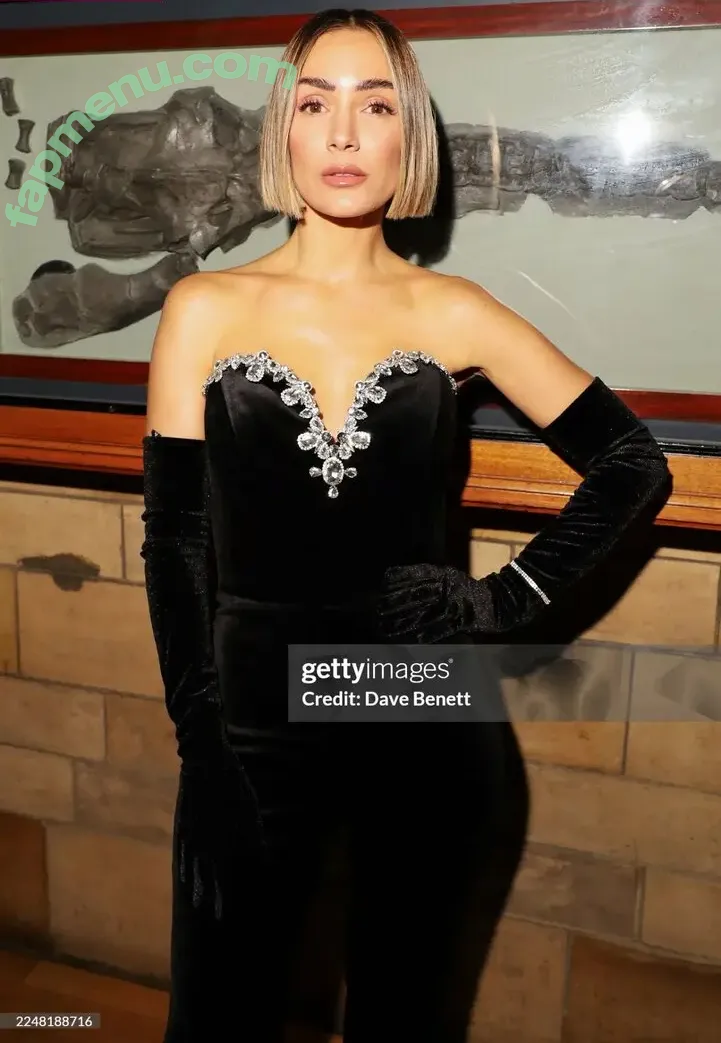 Frankie Bridge nude photo #3535 (Frankie Sandford (The Saturdays / frankiebridge)