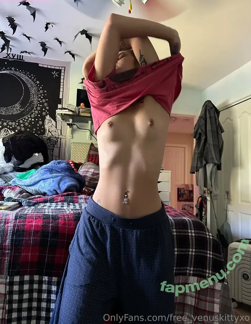 free_venuskittyxo nude photo #0001 (venuskittyxo2.0)