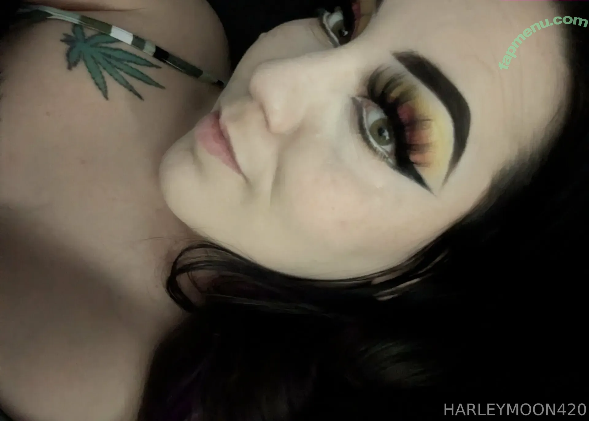 freeharleymoon420 nude photo #0037 (freeharleymoon420)