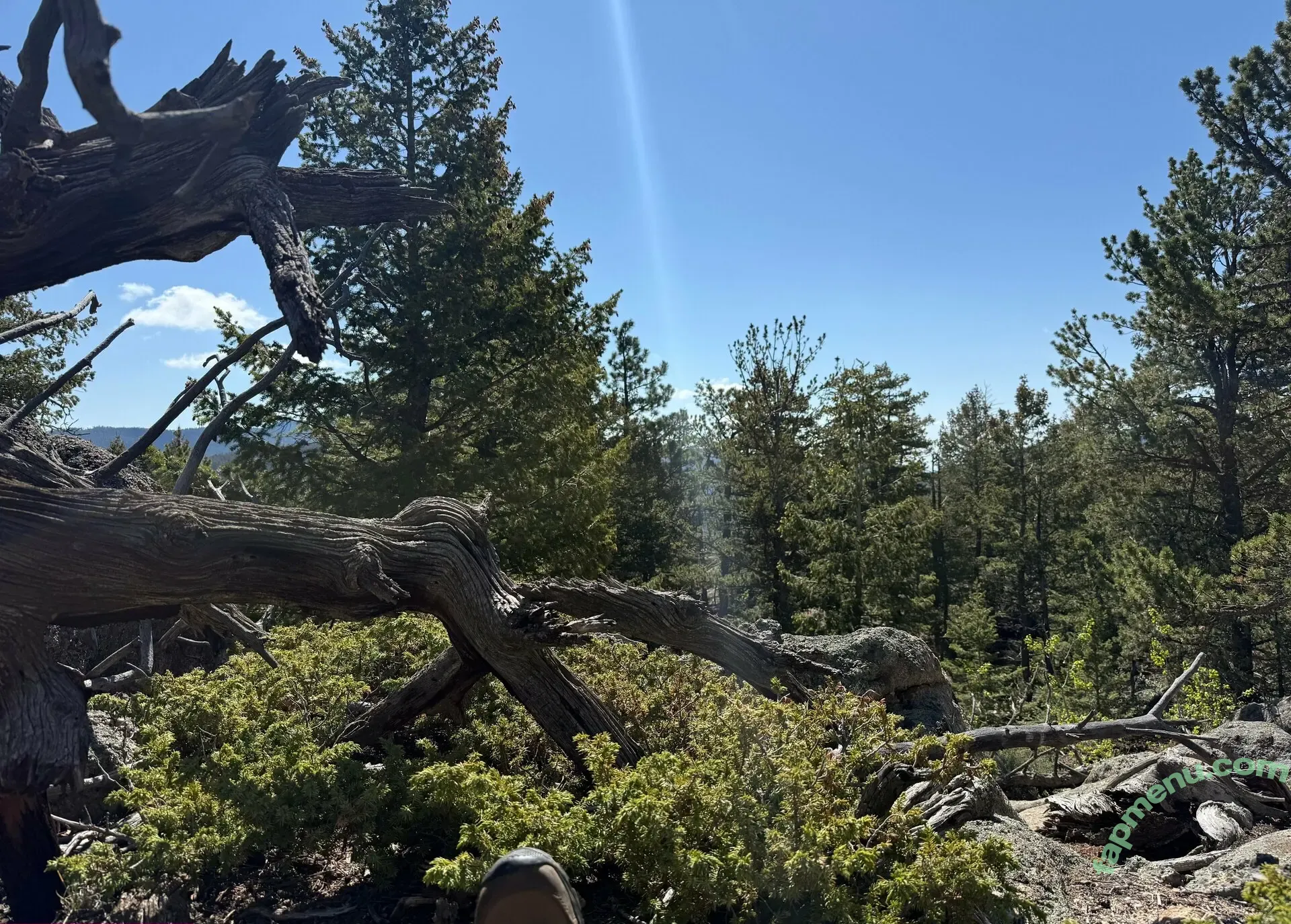 freemiasophia nude photo #0017 (miasophiatv)