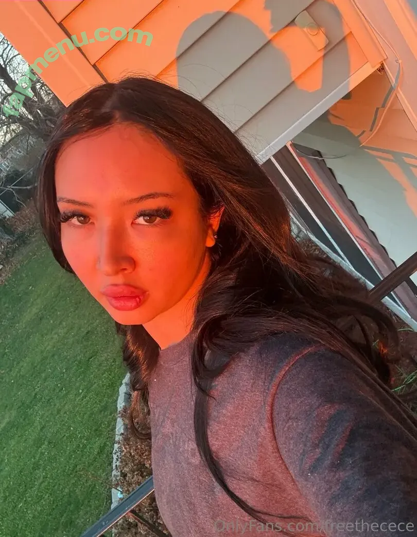 freethecece nude photo #0005 (thefreemoneyshow)