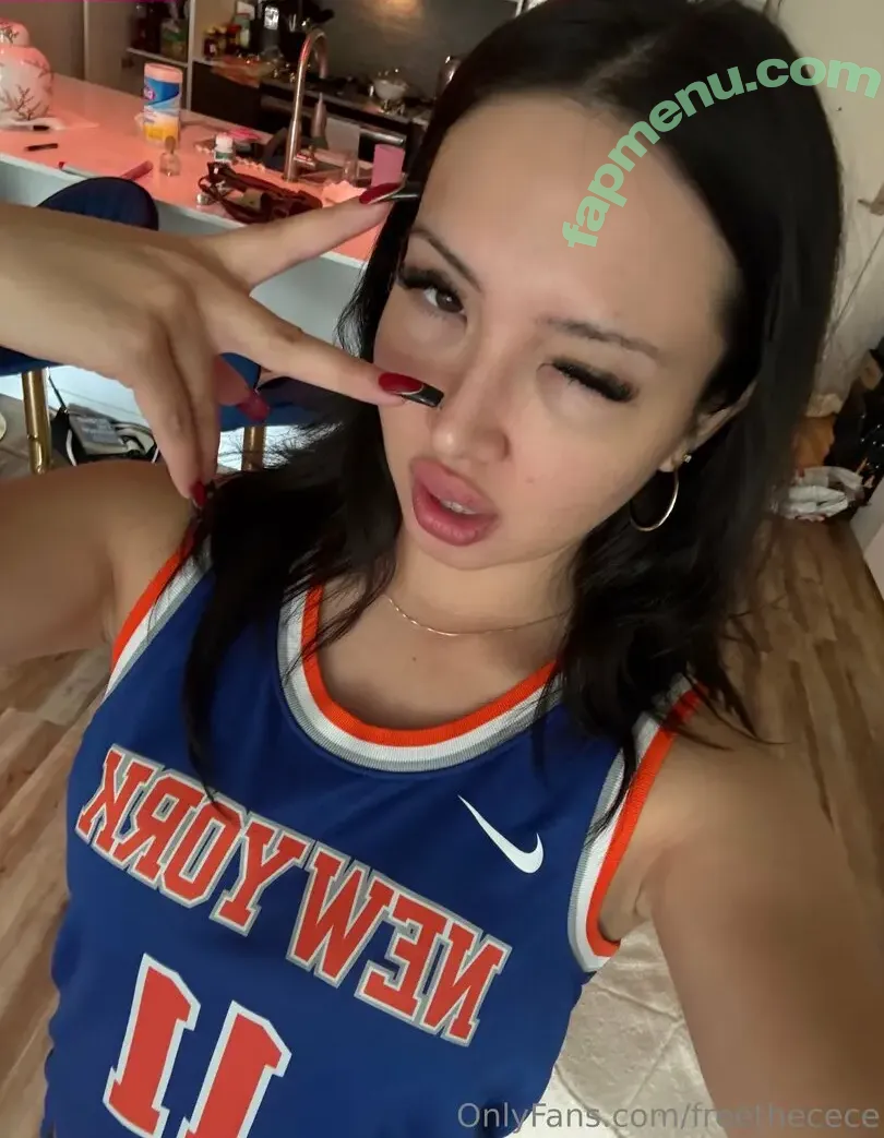 freethecece nude photo #0074 (thefreemoneyshow)