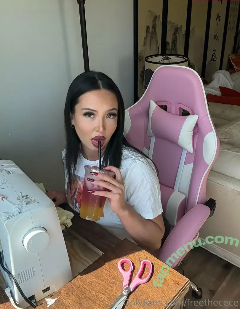 freethecece nude photo #0090 (thefreemoneyshow)