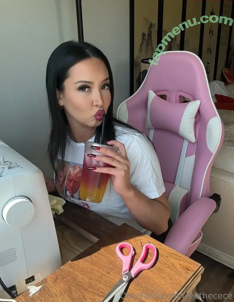 freethecece nude photo #0091 (thefreemoneyshow)