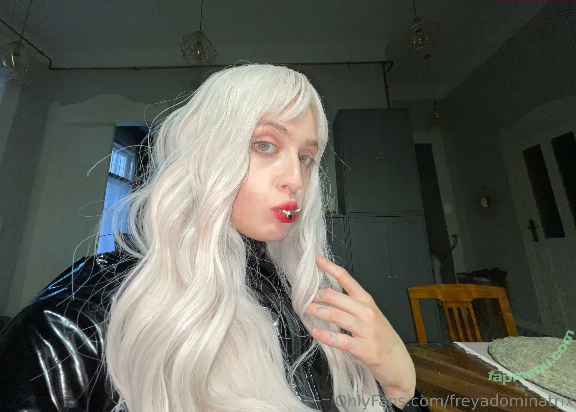 freyadominatrix nude photo #0038 (freya_harness)