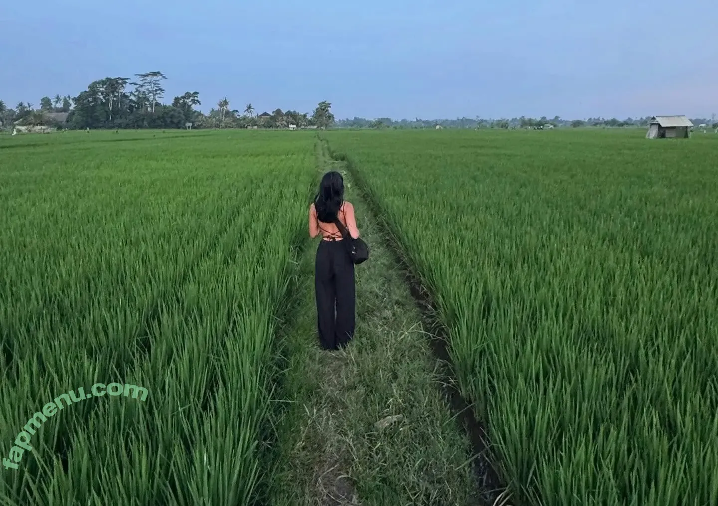 frida_reed nude photo #0103 (frida2065)