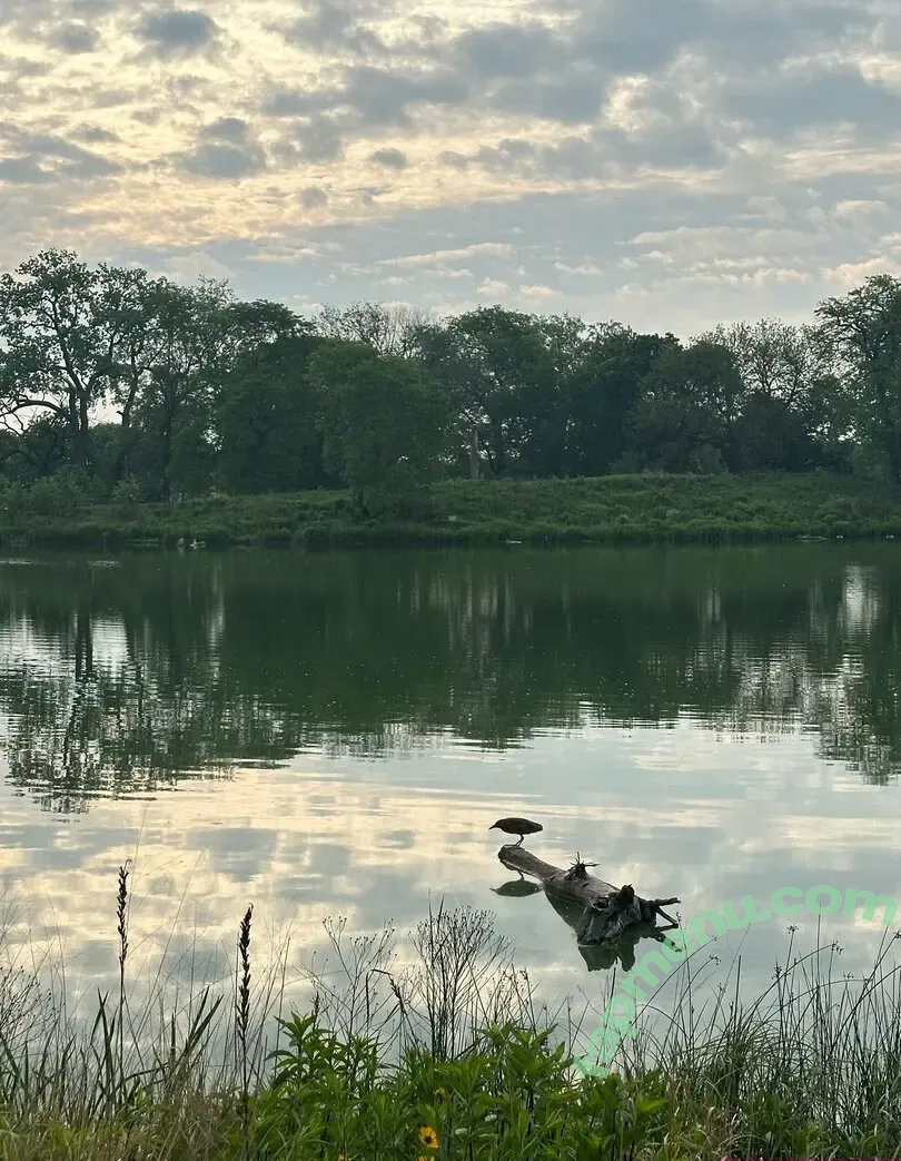 friskykink nude photo #0026 (that.kinky.frisky)