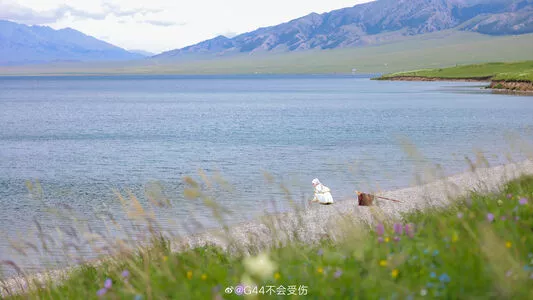 g44gallery / G44 wa Kizutsukanai / jisi_si / jisi_si (G44不会受伤 / 祭祀matsuri nude photo #0334