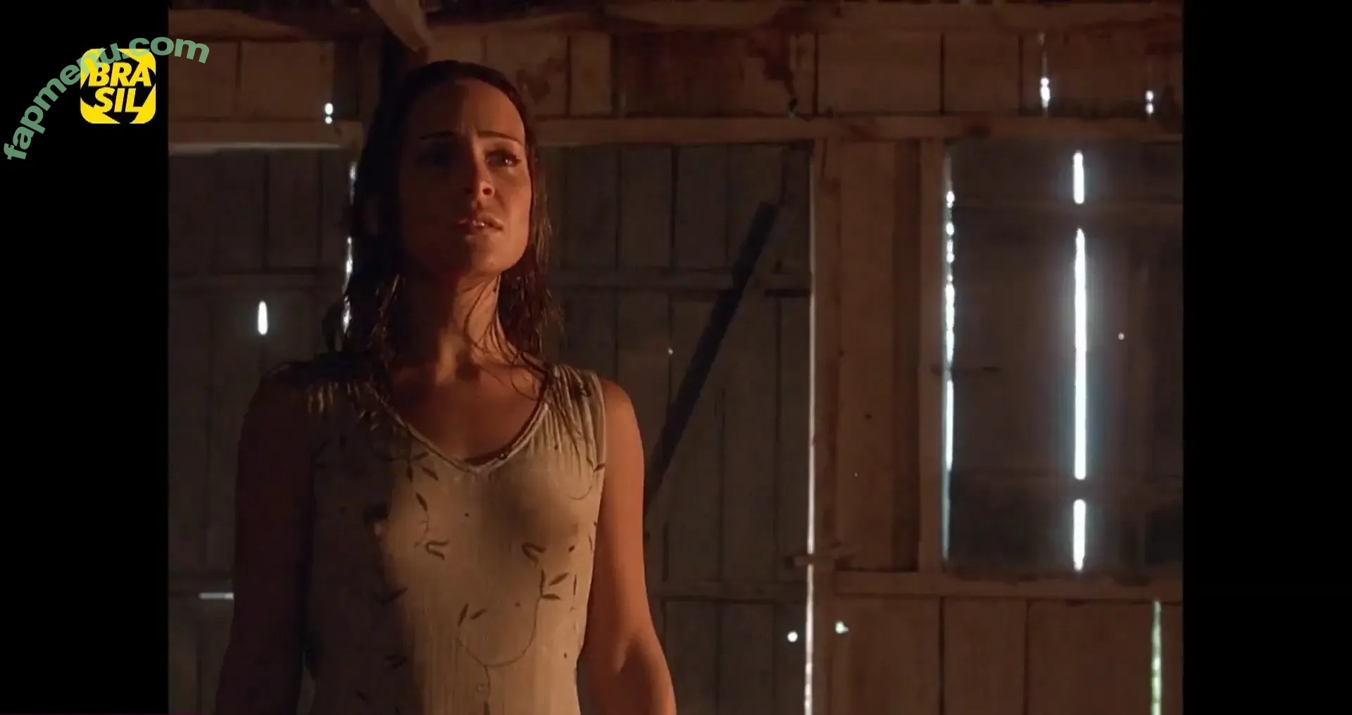 Gabriela Duarte nude photo #0027 (gabidu)