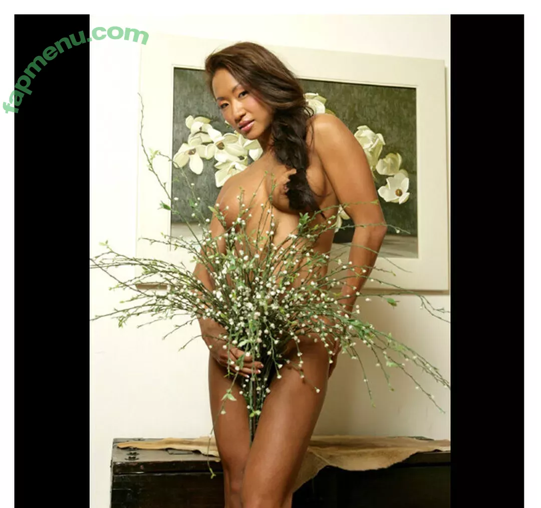 Gail Kim nude photo #0094 (gailkimitsme)