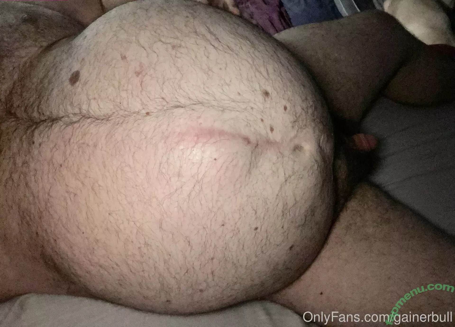 gainerbull nude photo #0125 (gainerbull)