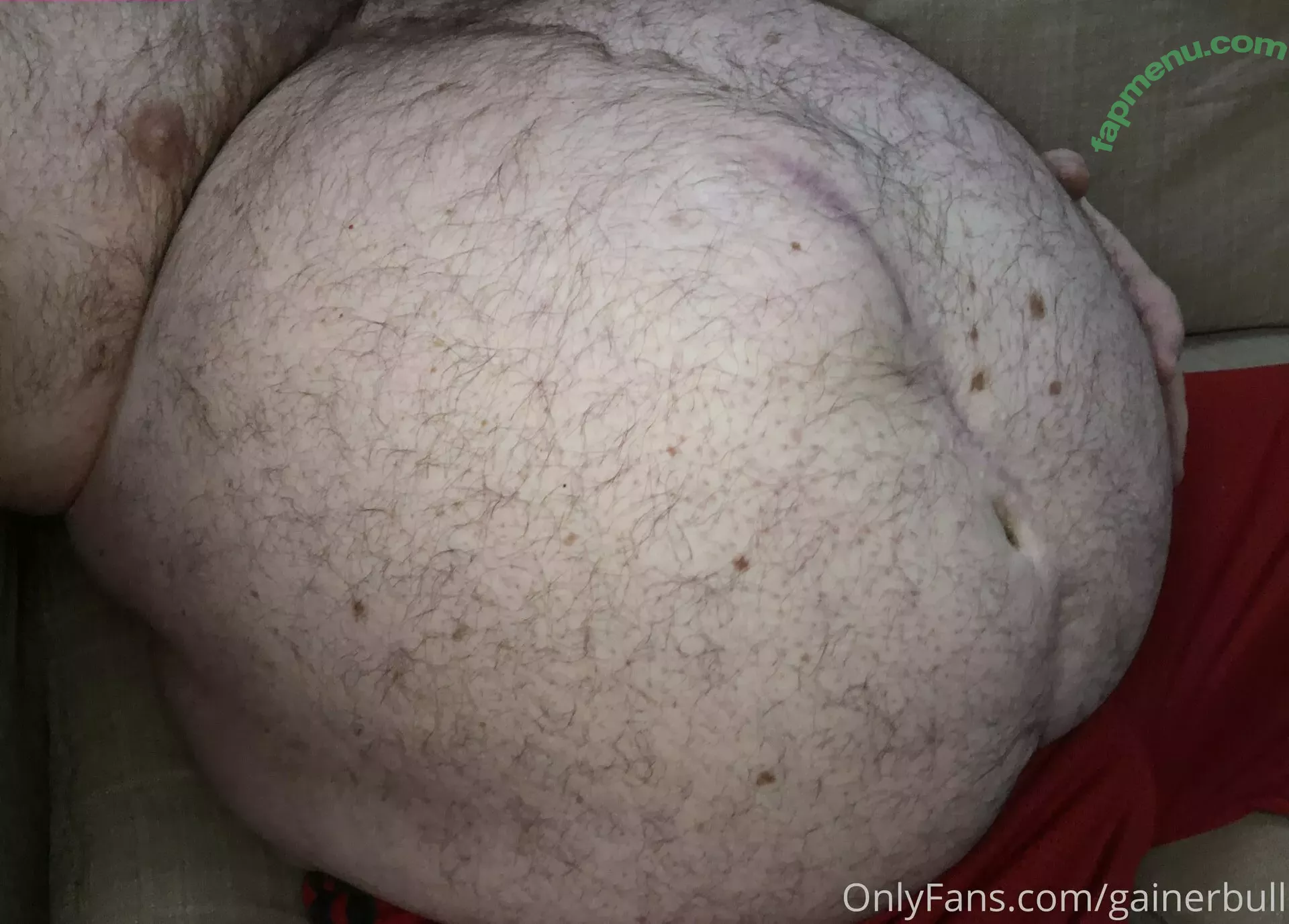 gainerbull nude photo #0245 (gainerbull)