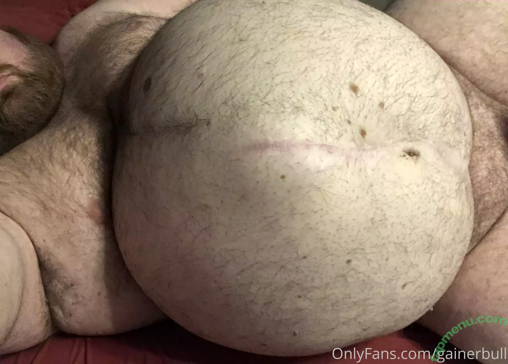 gainerbull nude photo #0374 (gainerbull)