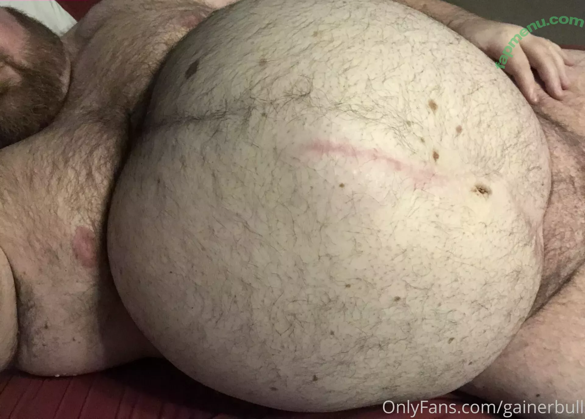gainerbull nude photo #0377 (gainerbull)