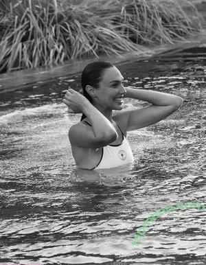 gal_gadot / inked_hriss nude photo #3210