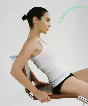 gal_gadot / inked_hriss nude photo #3220