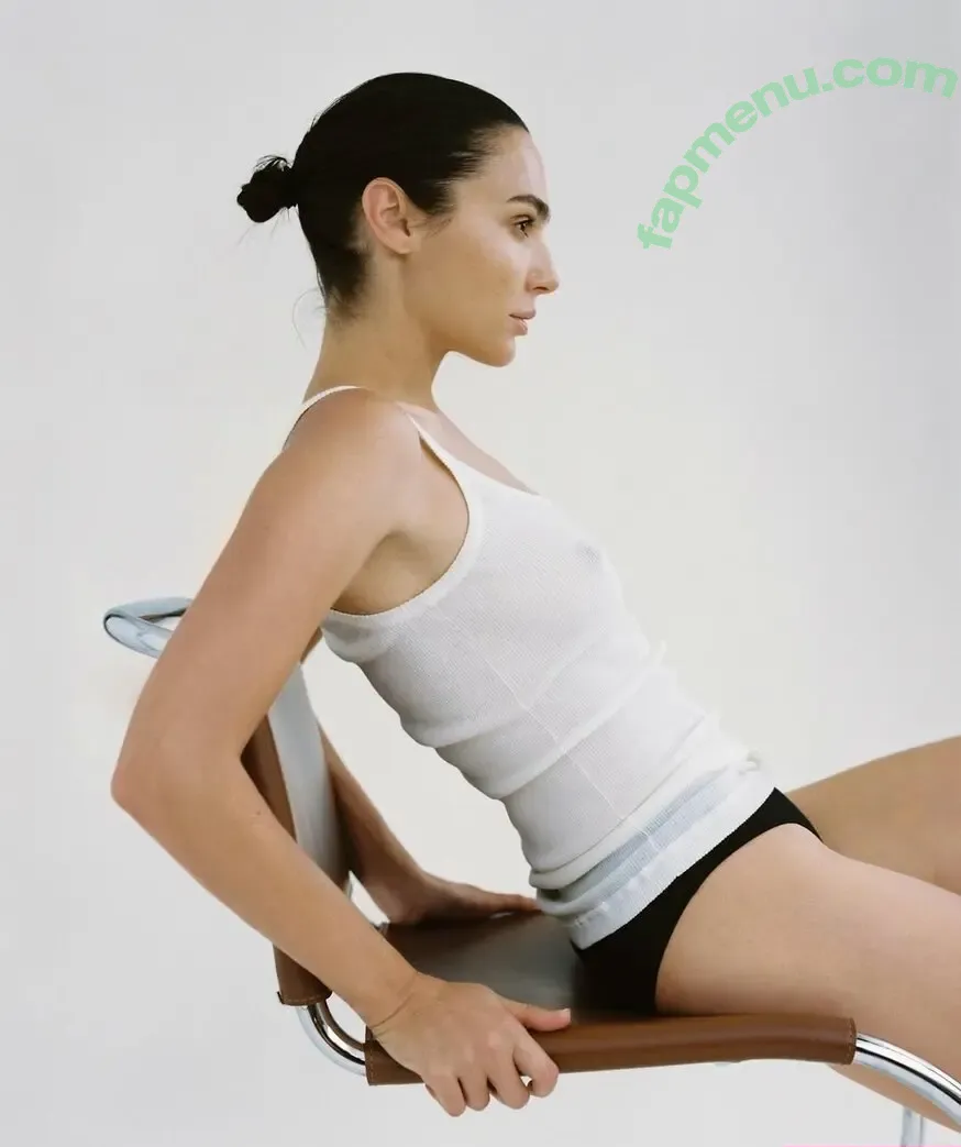 gal_gadot nude photo #3220 (inked_hriss)