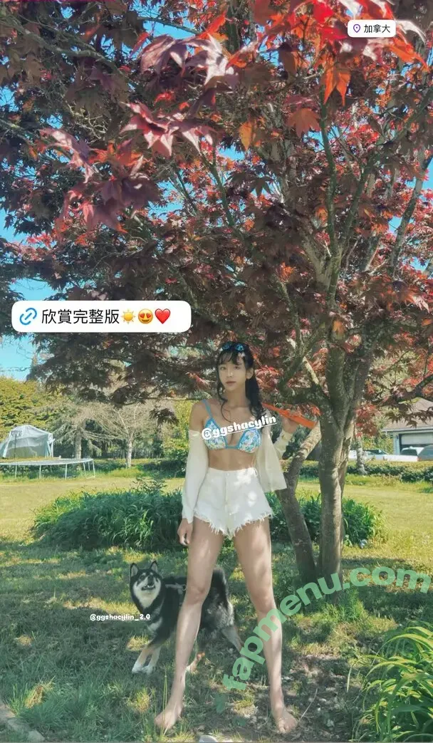 ggshacylin nude photo #0574 (ggshacylin)