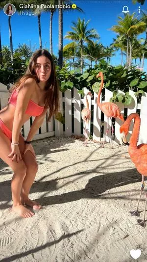 Gianina Paolantonio / gianina nude photo #0010