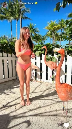 Gianina Paolantonio / gianina nude photo #0011