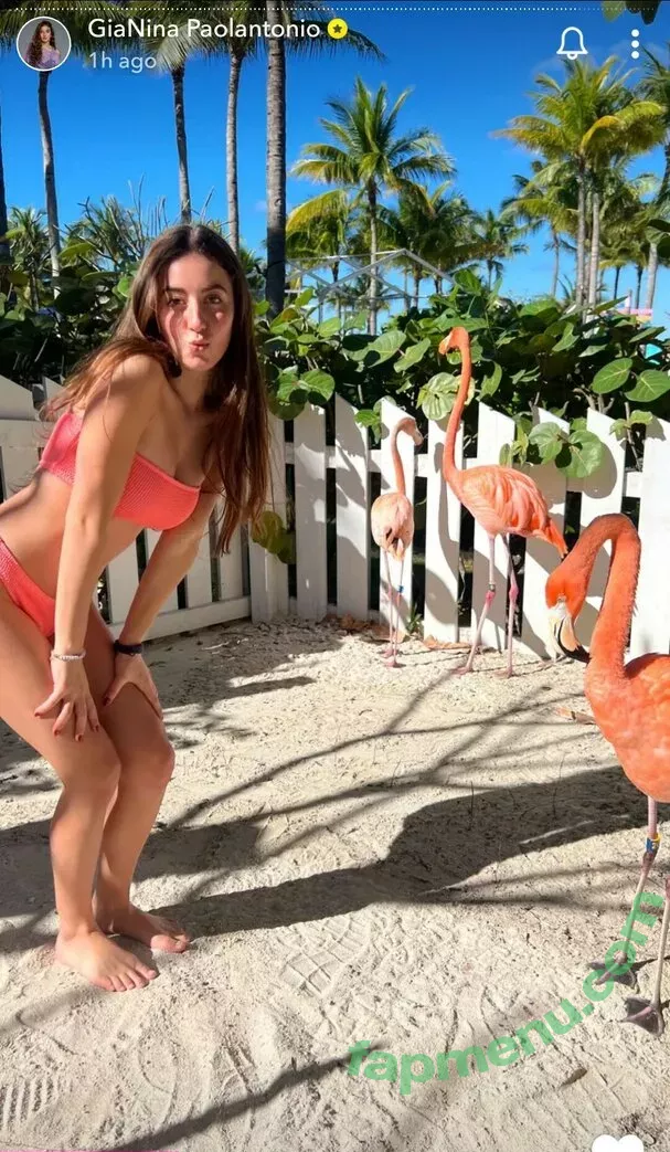 Gianina Paolantonio nude photo #0010 (gianina)