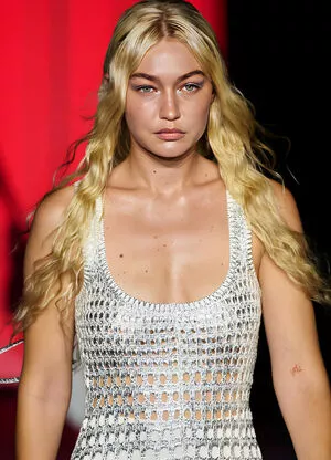 Gigi Hadid / GiGiHadid / aaliyahhadid / officialgigihadid nude photo #0218