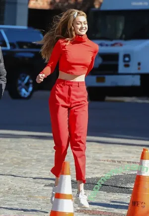 Gigi Hadid / GiGiHadid / aaliyahhadid nude photo #1100