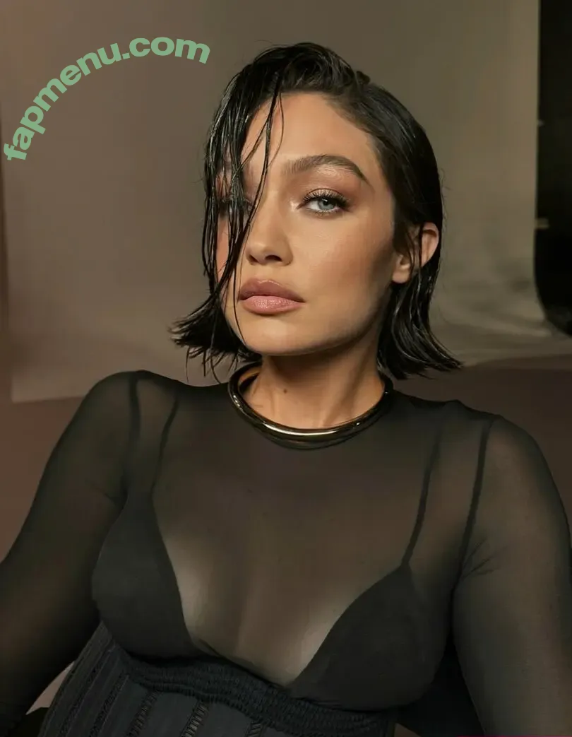 Gigi Hadid nude photo #1302 (GiGiHadid / aaliyahhadid / officialgigihadid)