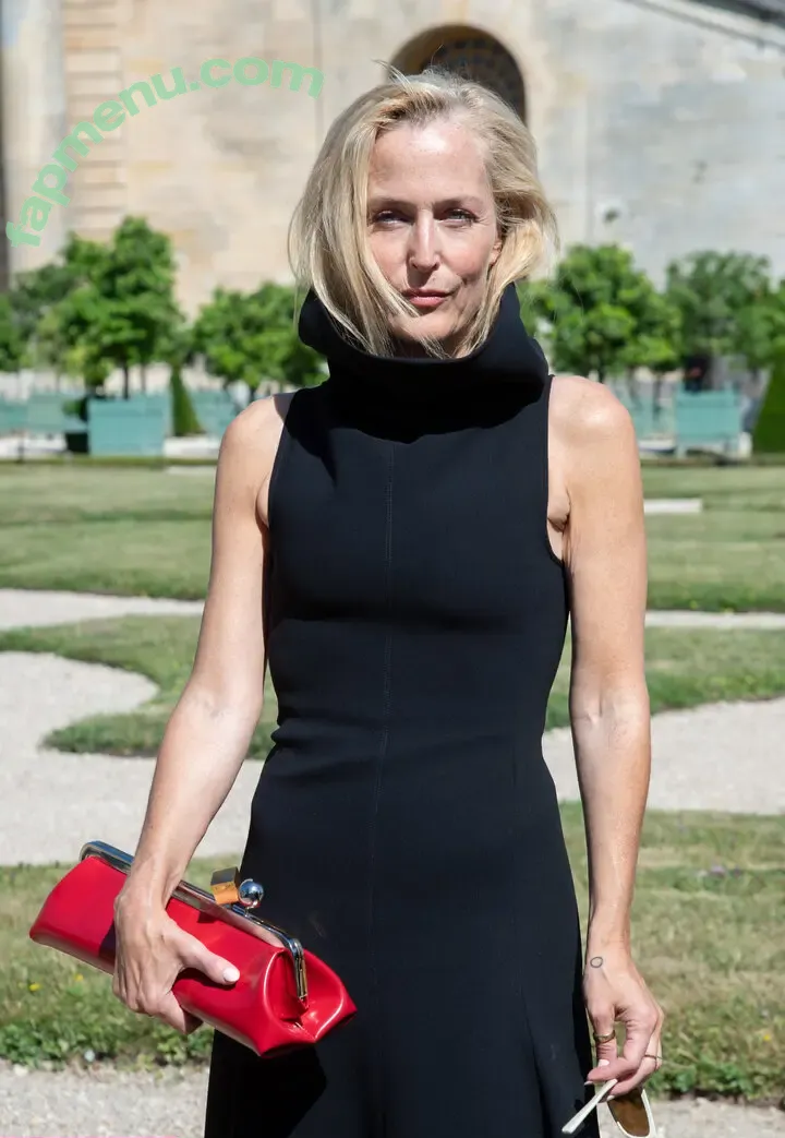 Gillian Anderson nude photo #0717 (gilliana)