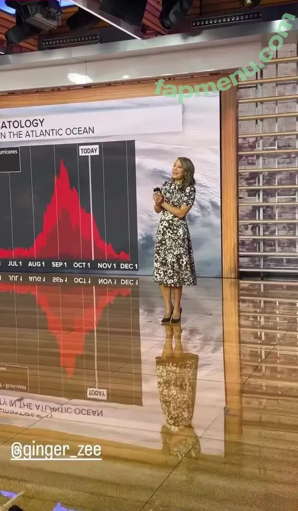 Ginger Zee nude photo #0073 (ginger_zee)